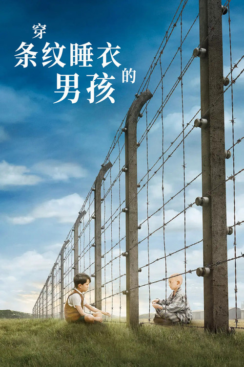 穿条纹睡衣的男孩 封面
