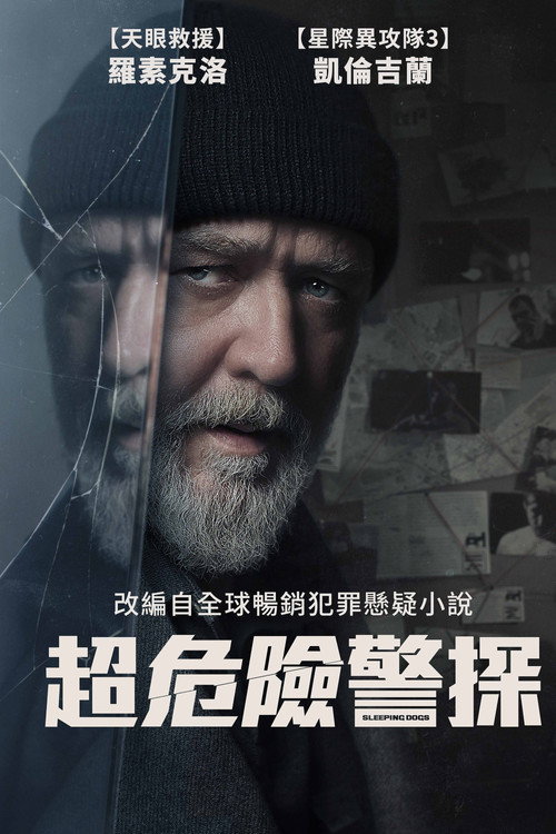 沉睡烈犬 封面