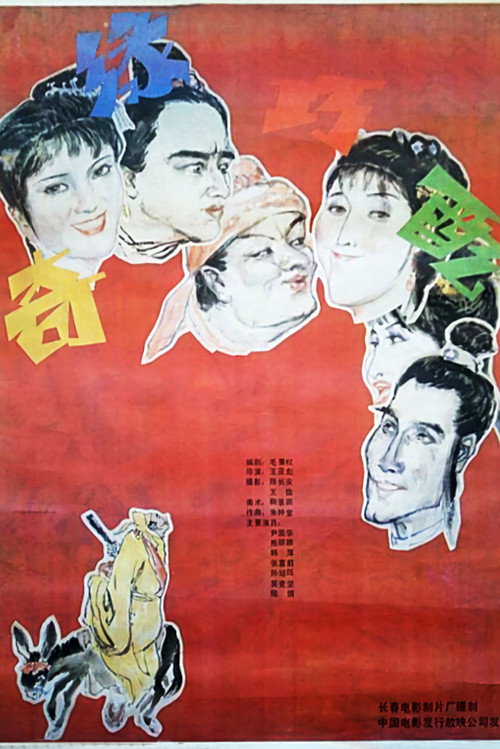 奇缘巧配 封面