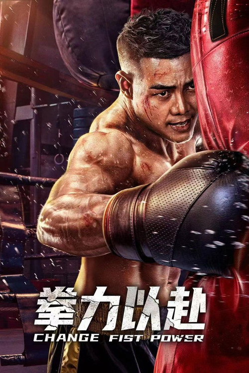 拳力以赴 封面