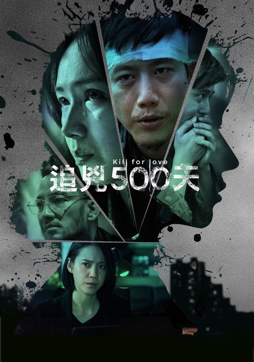 追凶500天 封面
