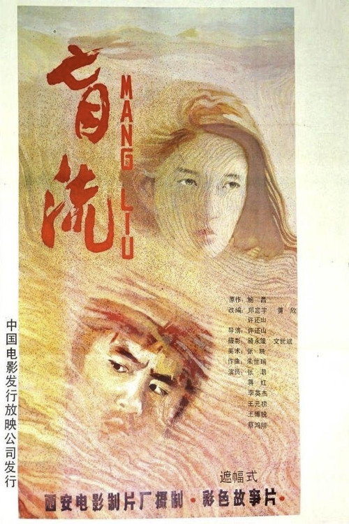 盲流 封面