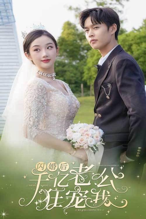 闪婚后，千亿老公狂宠我 封面