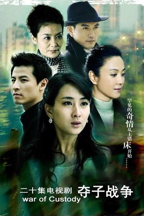 妇道之夺子战争 封面