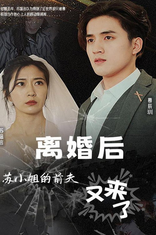 离婚后，苏小姐的前夫又来了 封面