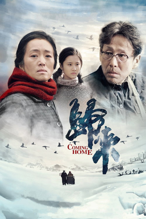 归来 封面