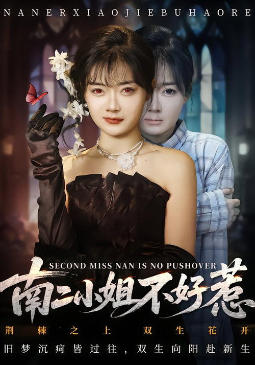 南二小姐不好惹 封面
