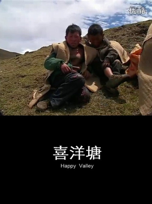 喜洋塘 封面
