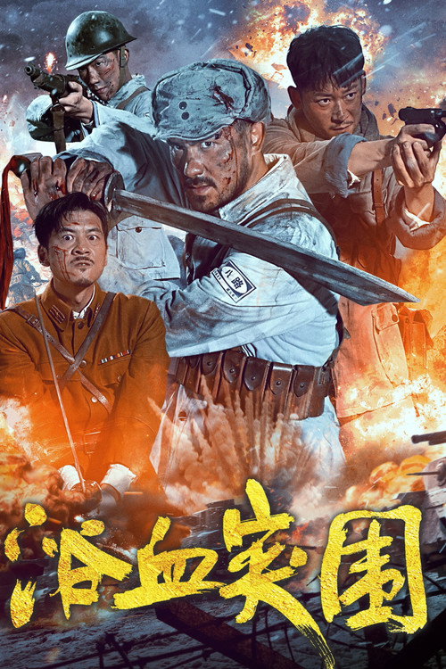 浴血突围 封面