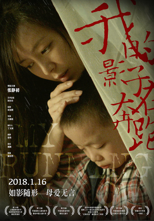 我的影子在奔跑 封面