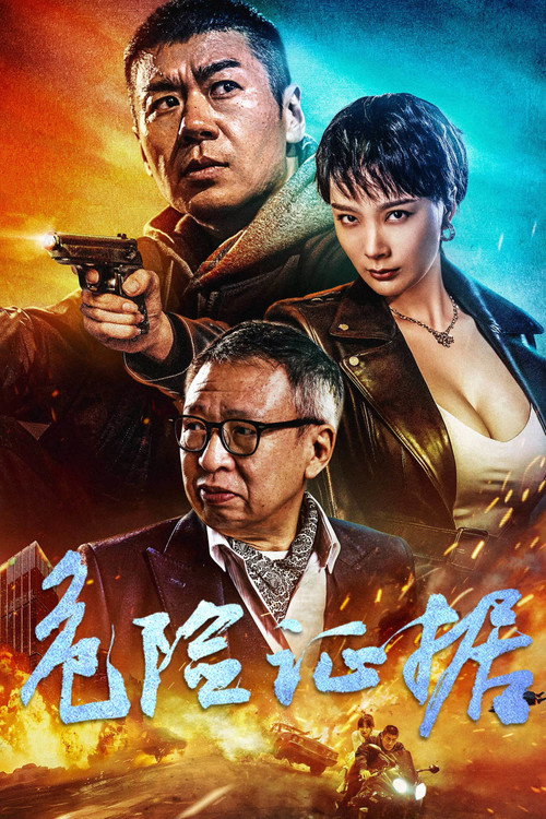 危险证据 封面