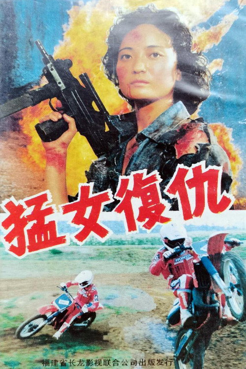 猛女复仇 封面