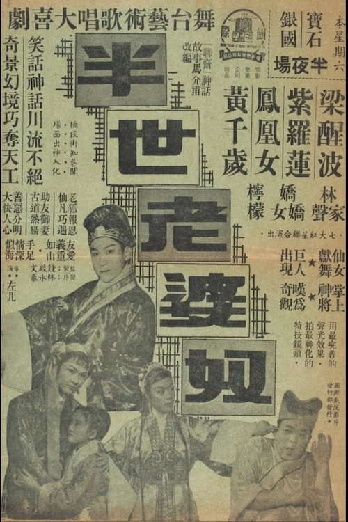 半世老婆奴 封面