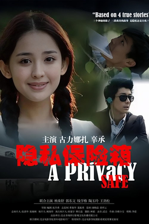 隐私保险箱 封面