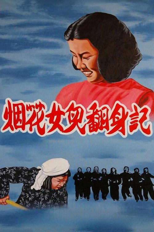烟花女儿翻身记 封面