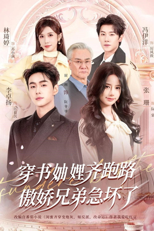穿书妯娌齐跑路,傲娇兄弟急坏了 封面