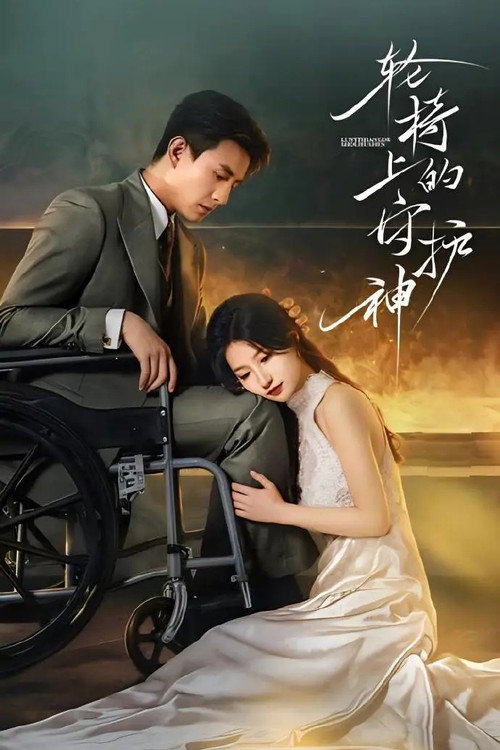 轮椅上的守护神 封面