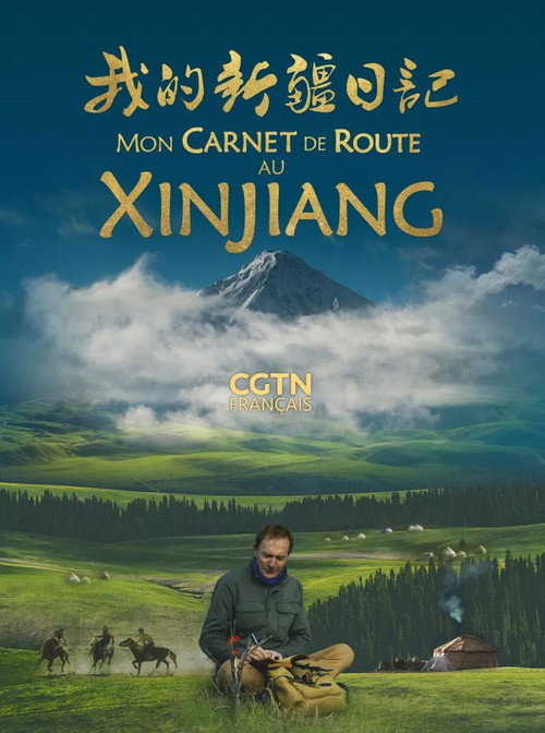我的新疆日记 封面