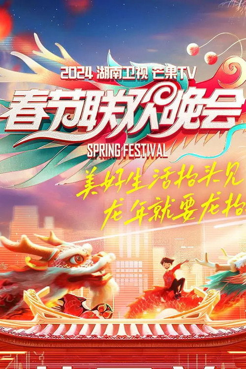 湖南卫视春节联欢晚会 封面