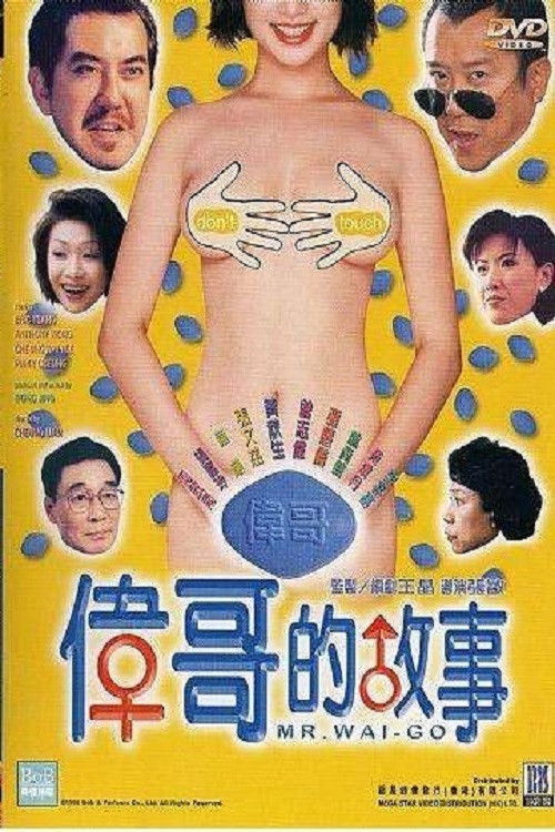 伟哥的故事 封面