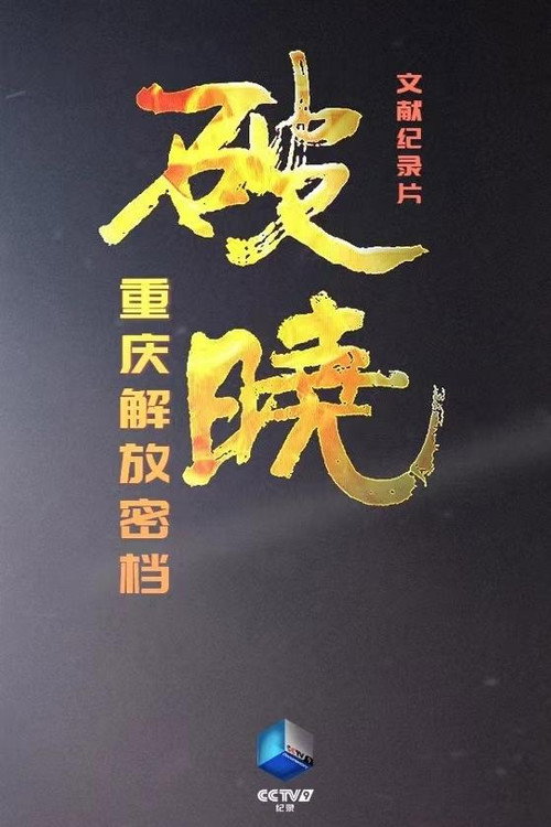 破晓—重庆解放密档 封面