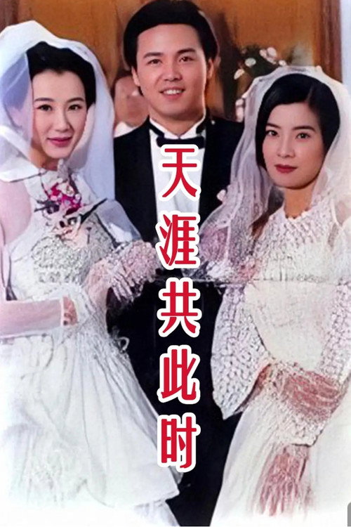 天涯共此时 封面
