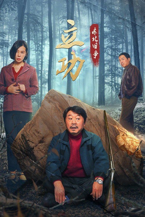 立功·东北旧事 封面