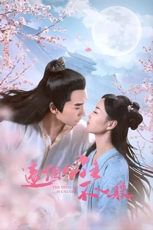 这个公主不一般 封面