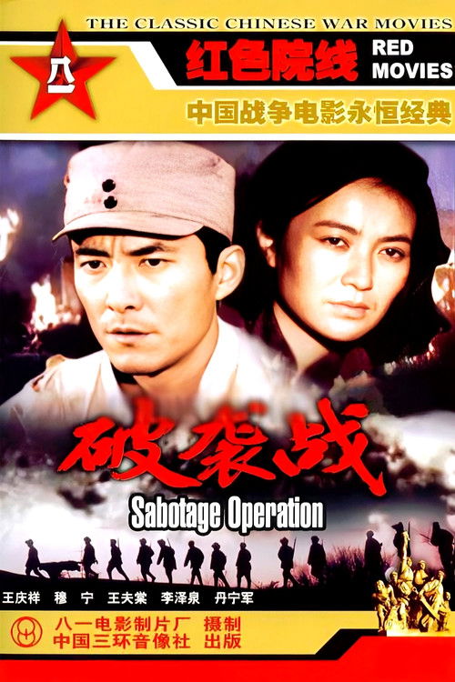破袭战 封面