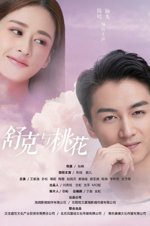舒克与桃花 封面