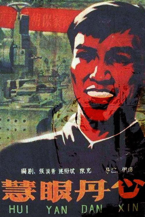 慧眼丹心 封面