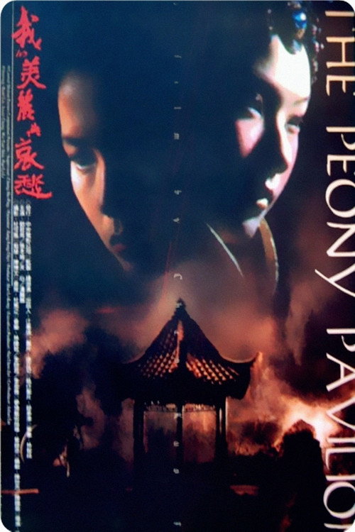 我的美丽与哀愁 封面