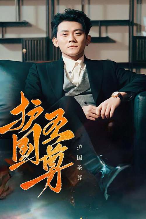 护国圣尊 封面