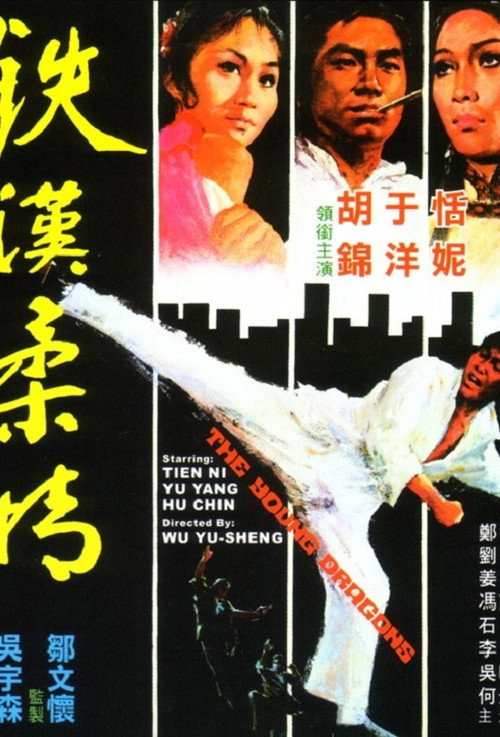 铁汉柔情 封面