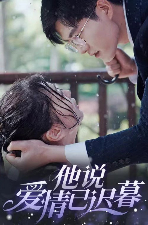 他说爱情已迟暮 封面