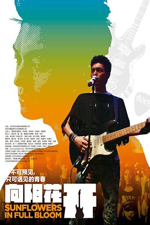向阳花开 封面