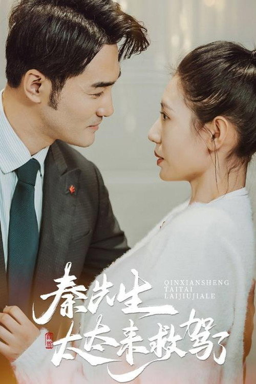 秦先生太太来救驾了 封面