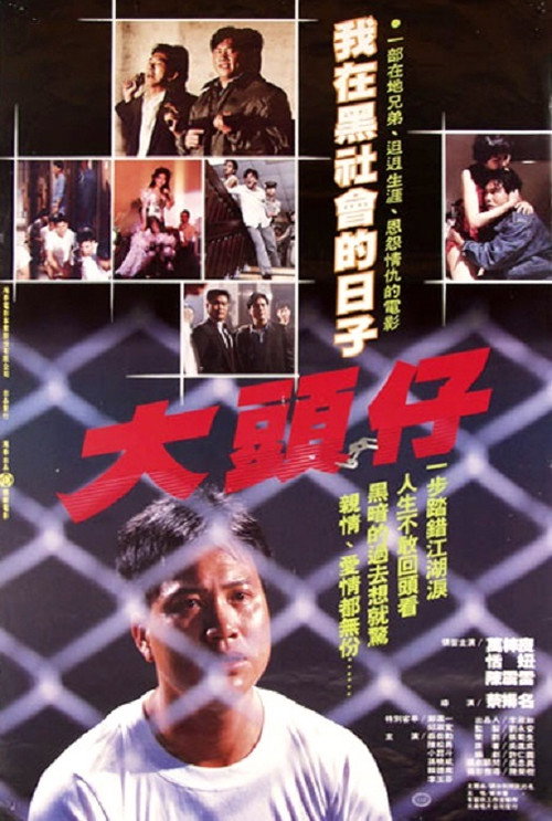 大头仔 封面