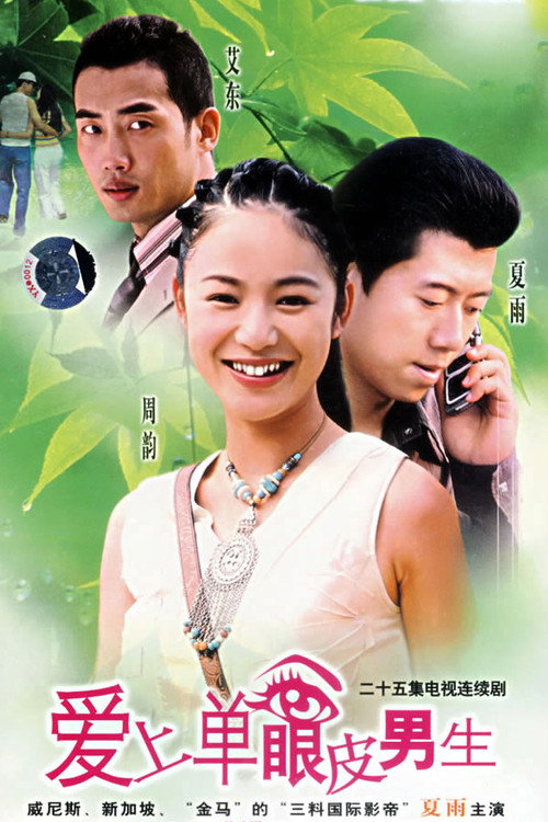 爱上单眼皮男生 封面