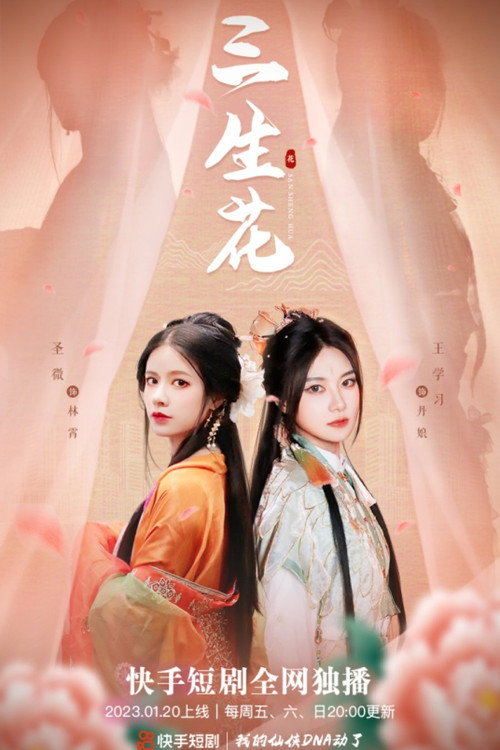 三生花 封面