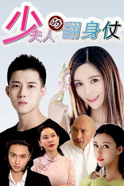 少夫人的翻身仗 封面