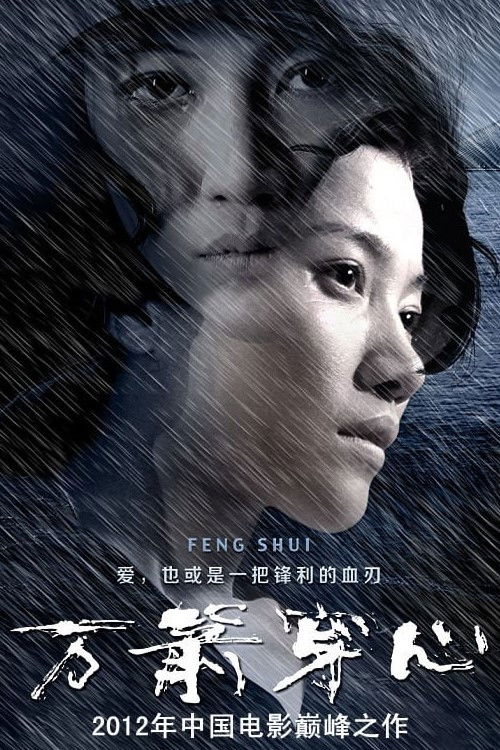 万箭穿心 封面