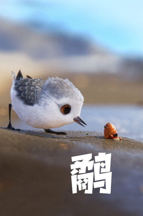鹬 封面