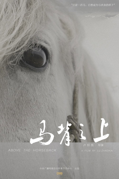 马背之上 封面