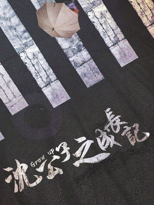 沈公子之成长记 封面
