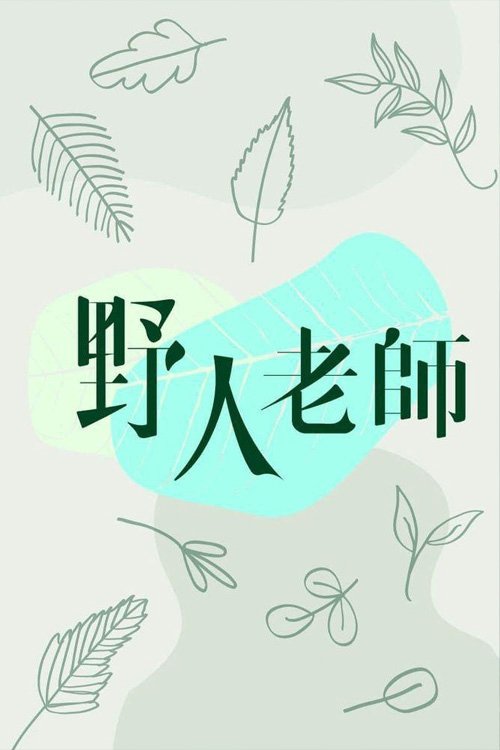 野人老师 封面