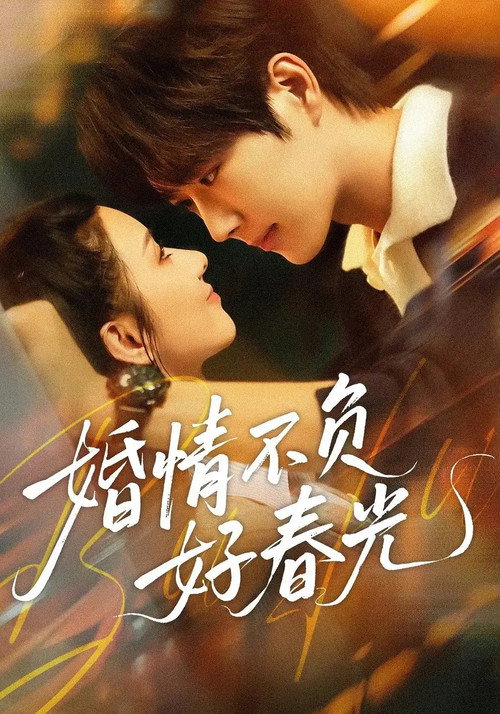 婚情不负好春光 封面