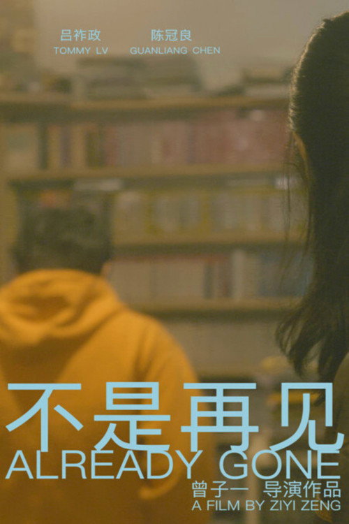 不是再见 封面