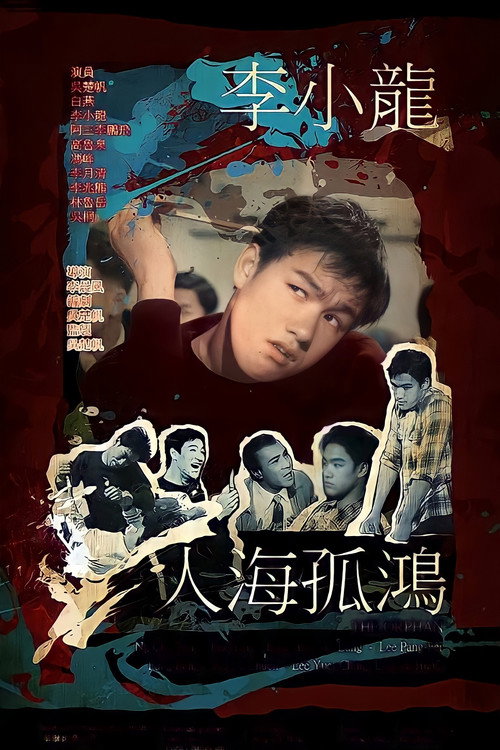 人海孤鸿 封面