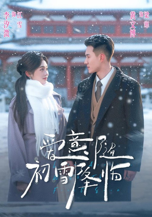 爱意随初雪降临 封面